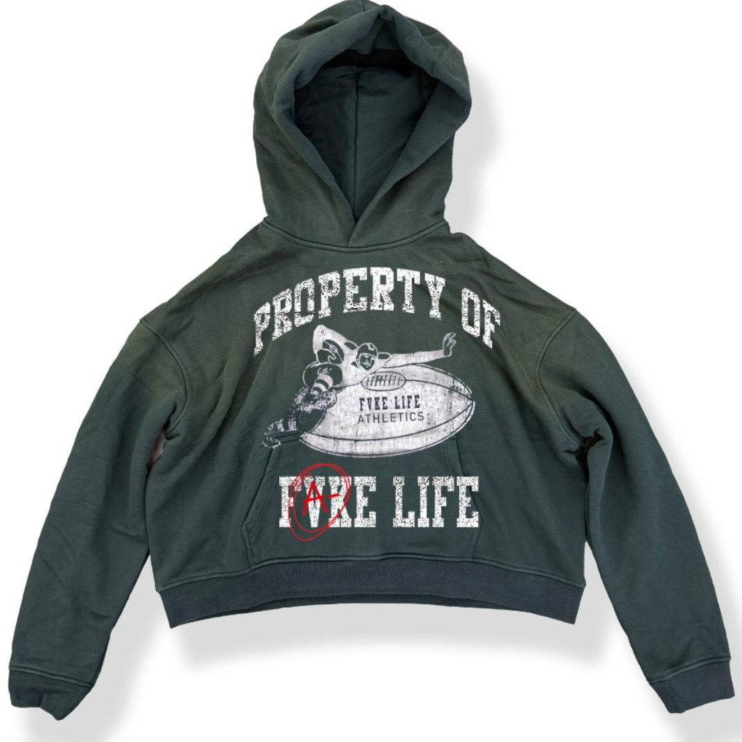 FL ATHLETICS DEPT HOODIE